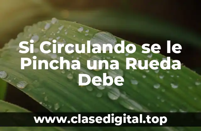 Si Circulando se le Pincha una Rueda Debe