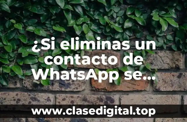 ¿Si eliminas un contacto de WhatsApp se entera?