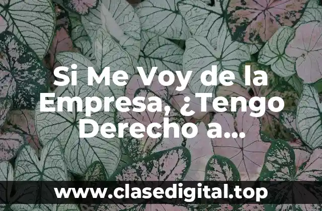 Si Me Voy de la Empresa, ¿Tengo Derecho a Indemnización?