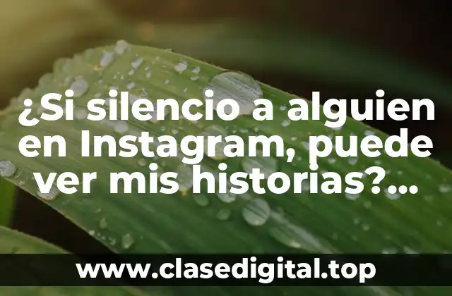 ¿Si silencio a alguien en Instagram, puede ver mis historias? ¡Descúbrelo!