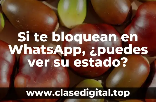 ¿Cómo funciona la privacidad en WhatsApp?