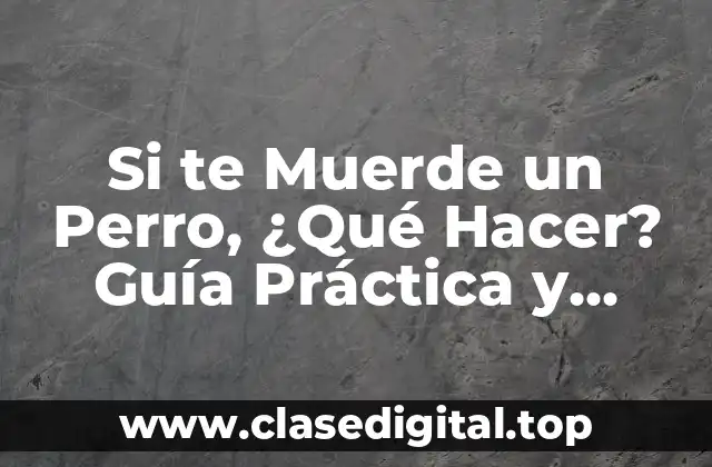 Si te Muerde un Perro, ¿Qué Hacer? Guía Práctica y Segura