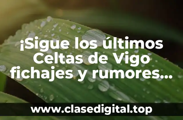 ¡Sigue los últimos Celtas de Vigo fichajes y rumores en Twitter!