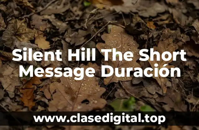 Silent Hill The Short Message Duración