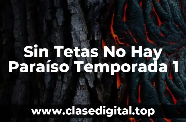 Sin Tetas No Hay Paraíso Temporada 1