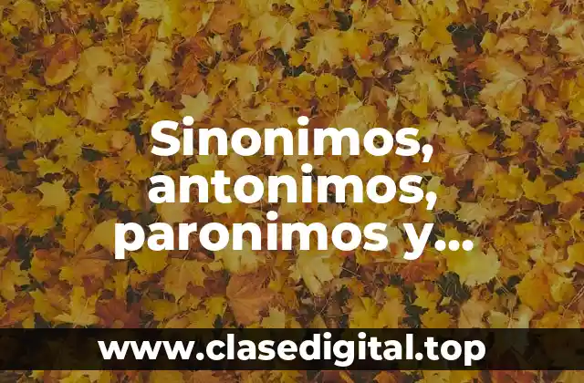 Sinonimos, antonimos, paronimos y homonimos