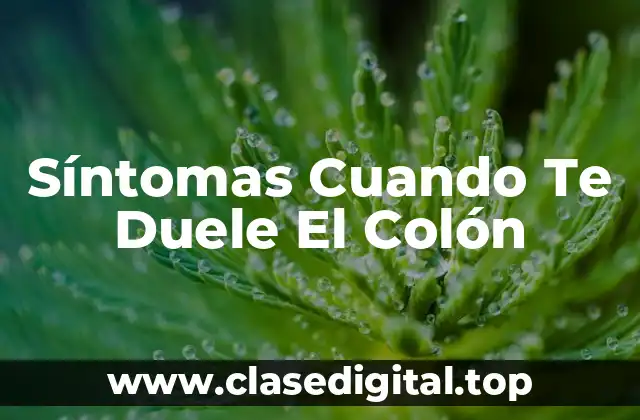 Síntomas Cuando Te Duele El Colón