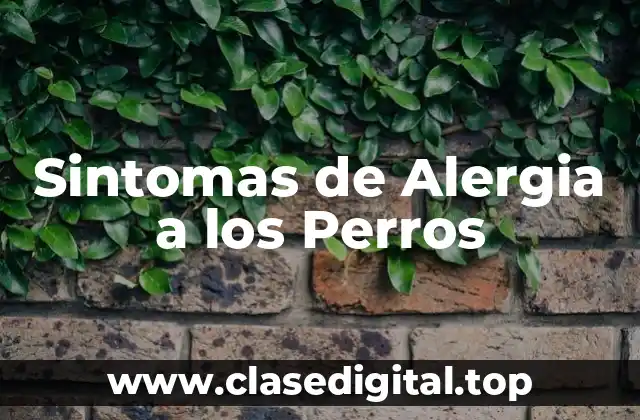 Sintomas de Alergia a los Perros