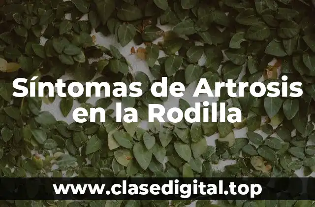 Síntomas de Artrosis en la Rodilla