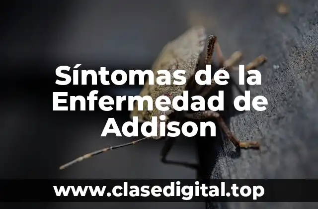 Síntomas de la Enfermedad de Addison