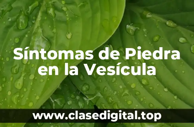 Síntomas de Piedra en la Vesícula