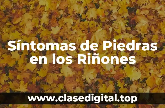 Síntomas de Piedras en los Riñones