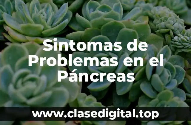 Sintomas de Problemas en el Páncreas