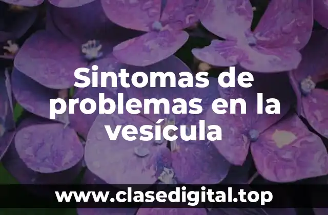 ¿Qué son los problemas en la vesícula?