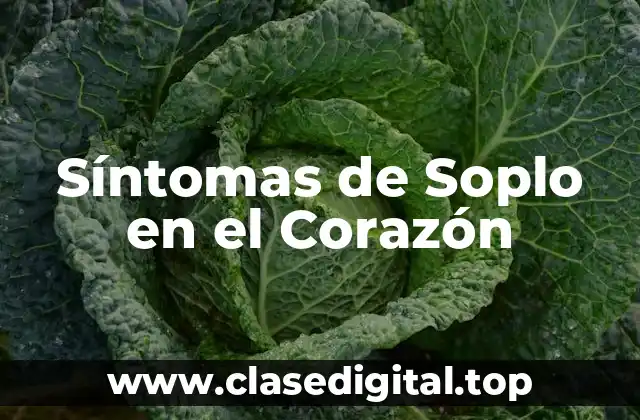 ¿Qué son los Síntomas de Soplo en el Corazón?