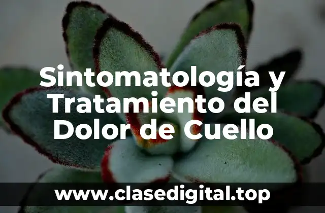 Sintomatología y Tratamiento del Dolor de Cuello