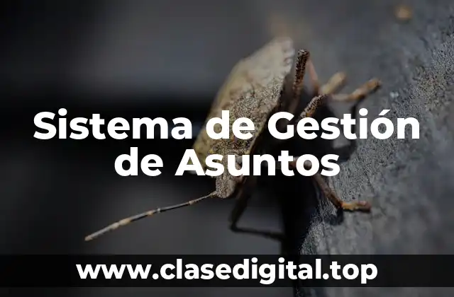 Sistema de Gestión de Asuntos