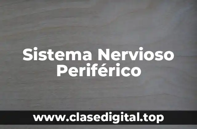 Sistema Nervioso Periférico