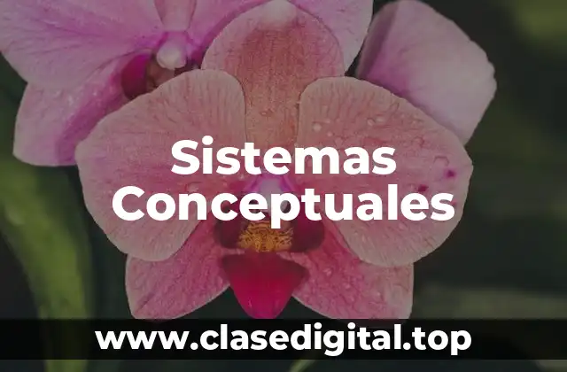 Sistemas Conceptuales