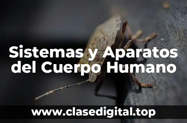 Sistemas y Aparatos del Cuerpo Humano