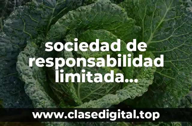 sociedad de responsabilidad limitada microindustrial