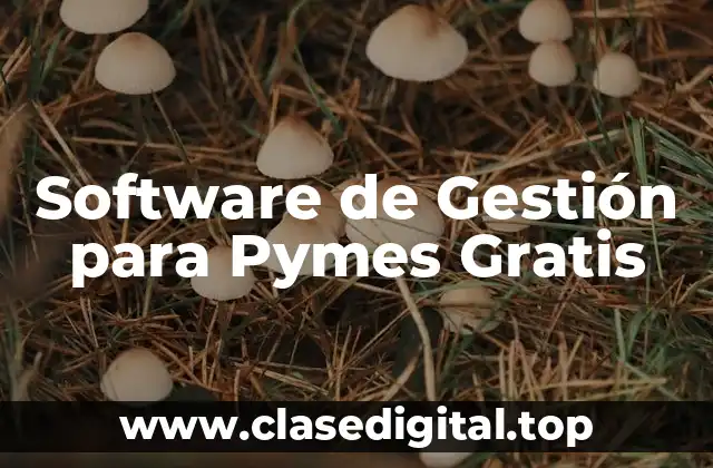 ¿Qué es un Software de Gestión para Pymes?