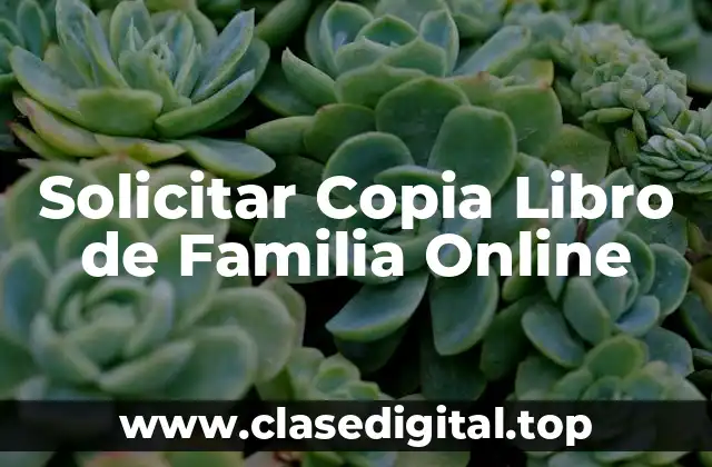 ¿Por qué es importante solicitar copia del libro de familia?