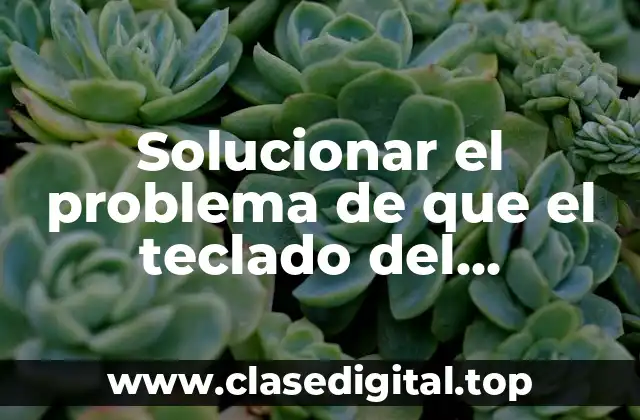 Razones comunes por las que el teclado del ordenador no escribe