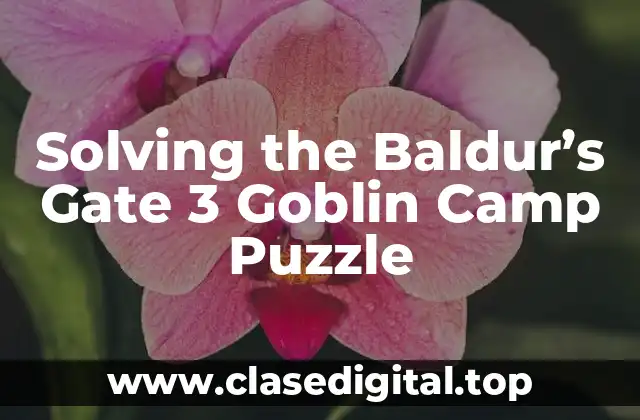 Solving the Baldur’s Gate 3 Goblin Camp Puzzle