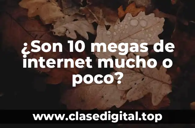 ¿Qué son los megas de internet?