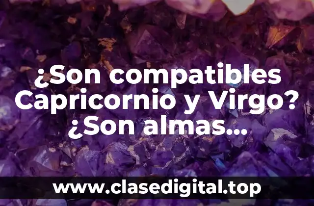 ¿Son compatibles Capricornio y Virgo? ¿Son almas gemelas?