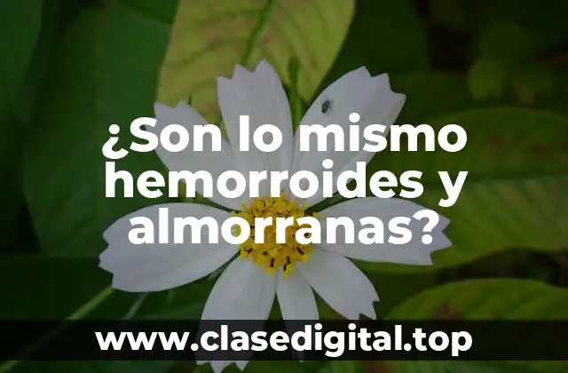 ¿Son lo mismo hemorroides y almorranas?