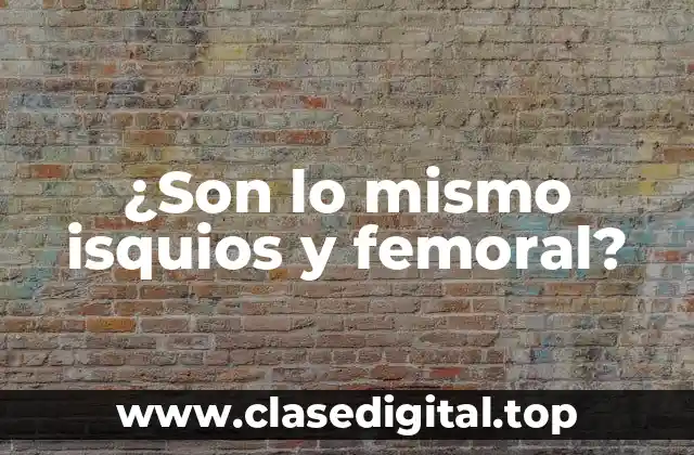 ¿Son lo mismo isquios y femoral?