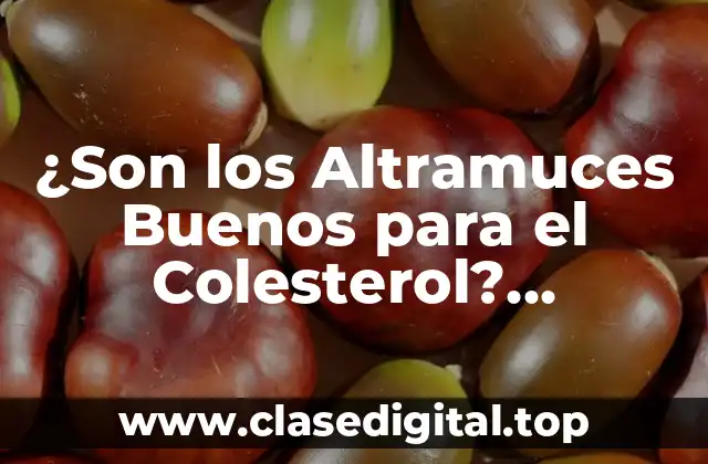 ¿Son los Altramuces Buenos para el Colesterol? Descúbrelo Aquí