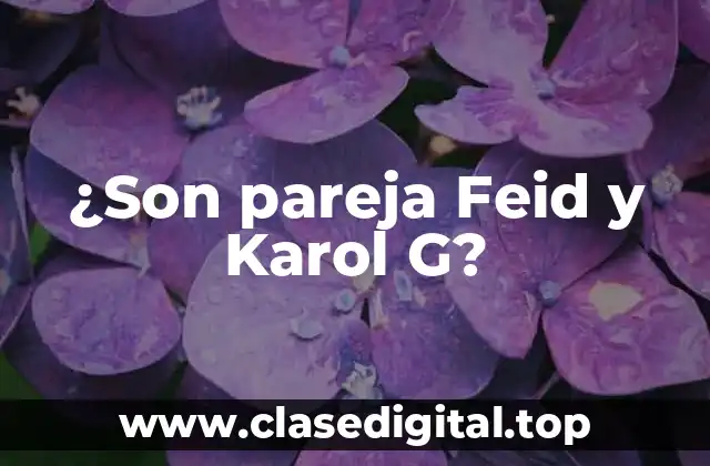 ¿Son pareja Feid y Karol G?