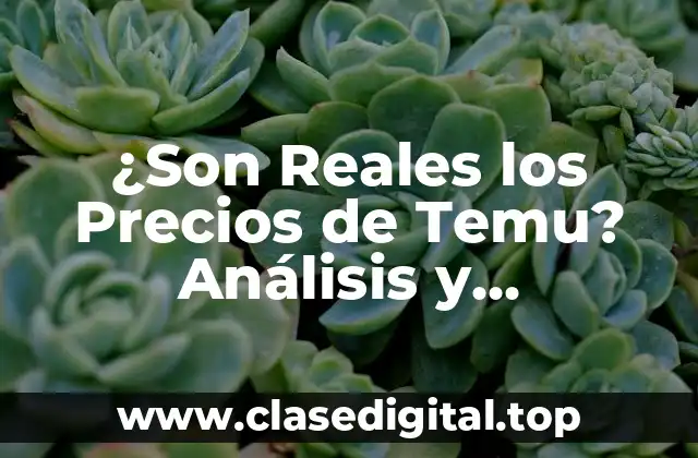 ¿Son Reales los Precios de Temu? Análisis y Verificación de la Plataforma de Compras Online