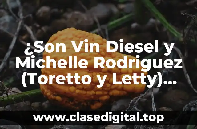 ¿Son Vin Diesel y Michelle Rodriguez (Toretto y Letty) pareja en la vida real?