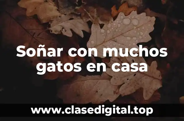 Soñar con muchos gatos en casa
