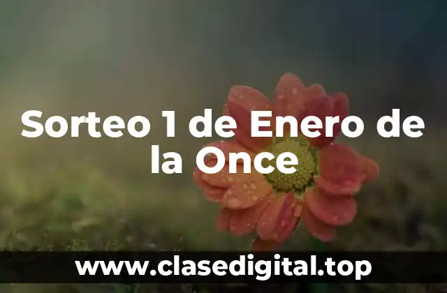 ¿Cuál es la Historia detrás del Sorteo 1 de Enero de la Once?
