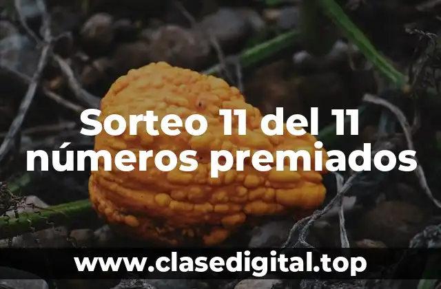 Sorteo 11 del 11 números premiados