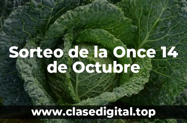 Sorteo de la Once 14 de Octubre