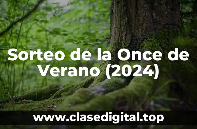 Historia del Sorteo de la Once de Verano