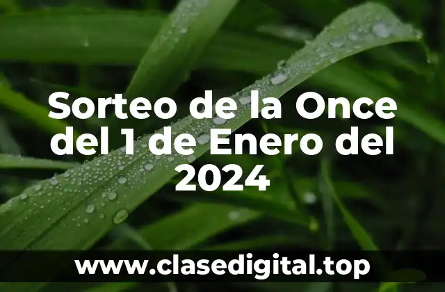 Historia del Sorteo de la Once