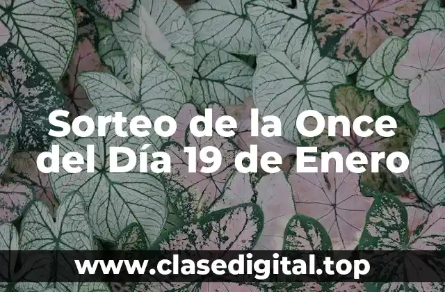 Sorteo de la Once del Día 19 de Enero