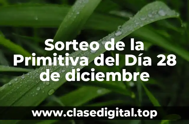 ¿Qué es la Primitiva?