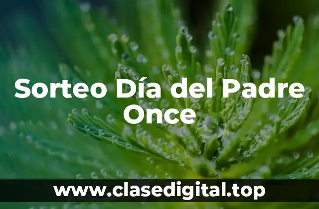 Sorteo Día del Padre Once