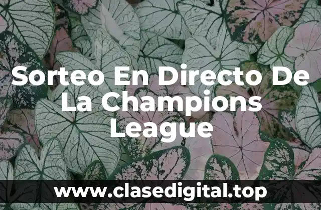 Sorteo En Directo De La Champions League