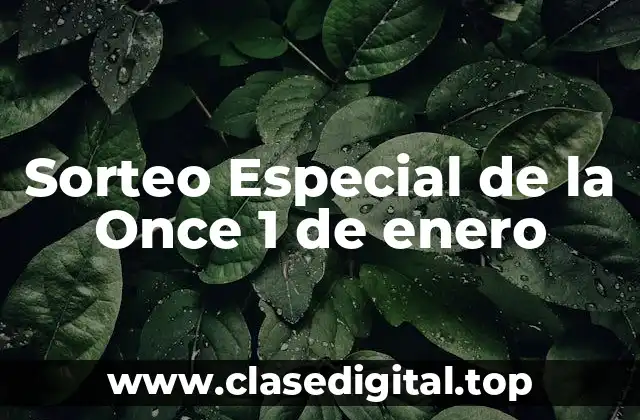 Sorteo Especial de la Once 1 de enero