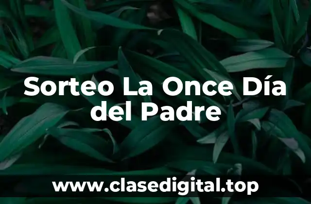 Sorteo La Once Día del Padre
