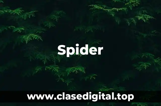 Spider